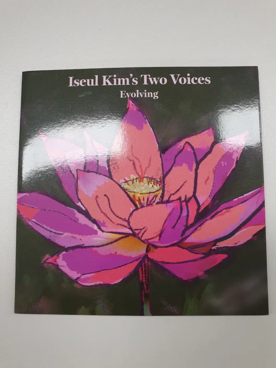 [중고 CD] 김이슬's Two Voices - Evolving